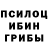 Псилоцибиновые грибы Psilocybine cubensis GachaTuber X