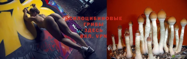 соль ск Верея