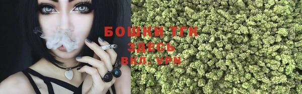ешки Верхний Тагил