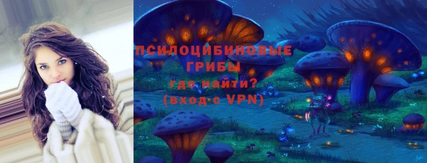 соль ск Верея