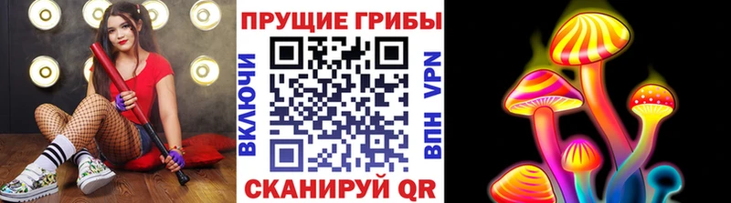 Галлюциногенные грибы Cubensis  мега онион  Моздок 